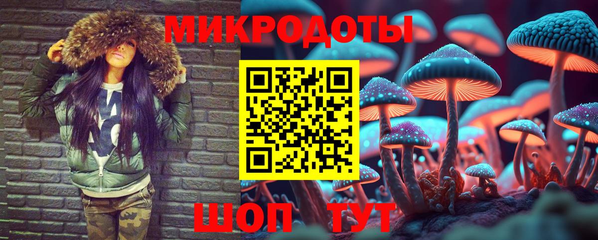 Псилоцибиновые грибы Cubensis Зеленокумск