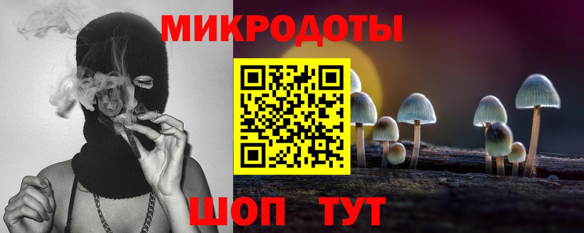 Зеленокумск  Галлюциногенные грибы мицелий  Вход с VPN 